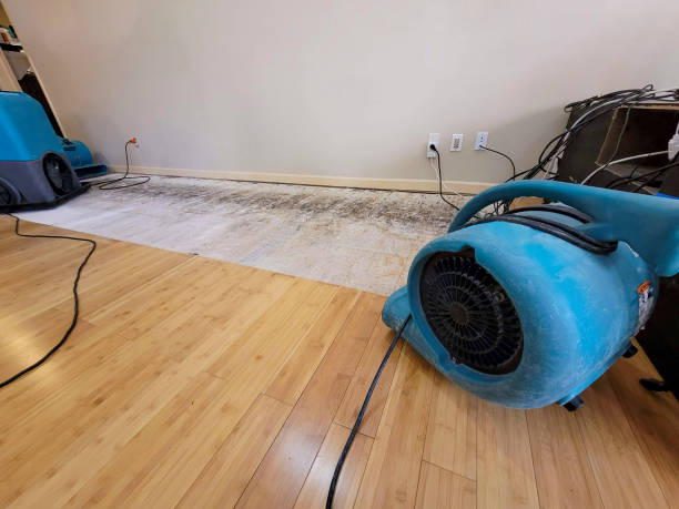Professional Water Extraction technician working in Leeds, MA